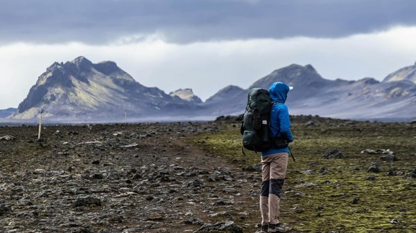 Les trésors du tourisme aux USA : entre nature et culture