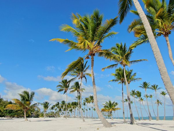 Où partir en vacances : guide des séjours inédits à découvrir !