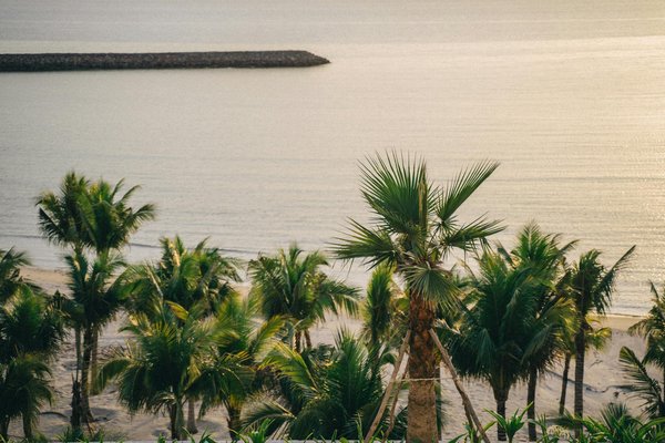 Analyse complète : Découvrez les Meilleurs Guides de Voyage Gratuits et Premium Disponibles en Ligne